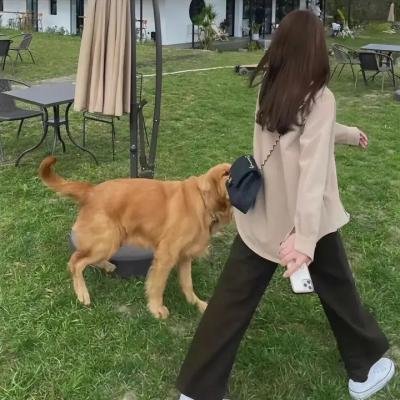 神枪护花手