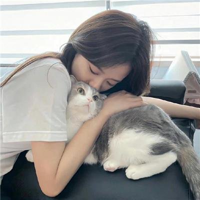 猫和老鼠：西部大冒险